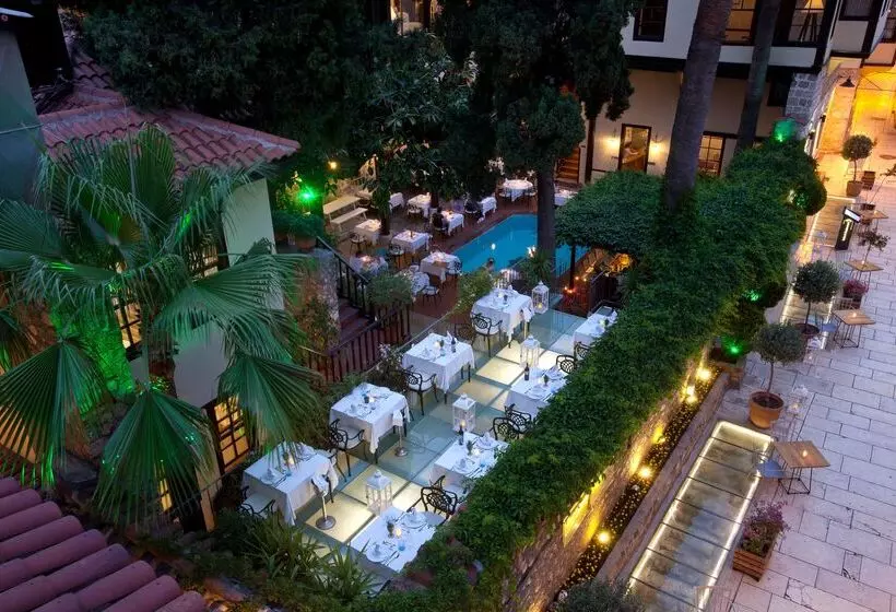 Fotos del hotel Alp Pasa   Special Class:  43