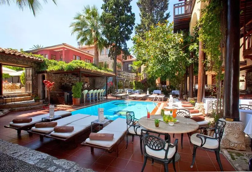 Fotos del hotel Alp Pasa   Special Class:  44