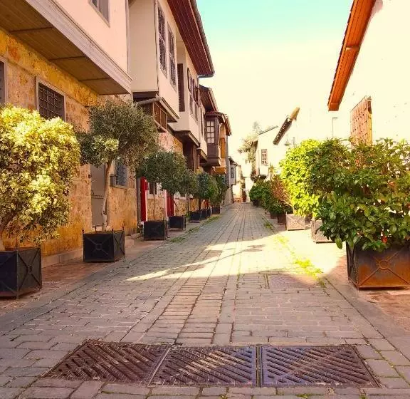 Fotos del hotel Alp Pasa   Special Class:  40