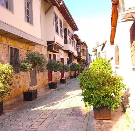 Fotos del hotel Alp Pasa   Special Class:  41