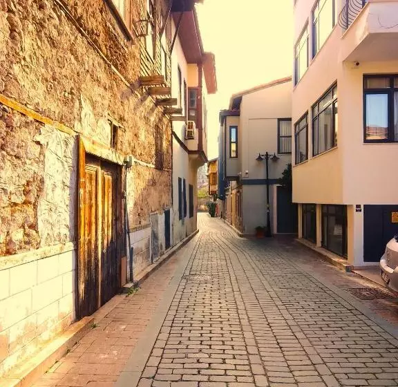 Fotos del hotel Alp Pasa   Special Class:  55