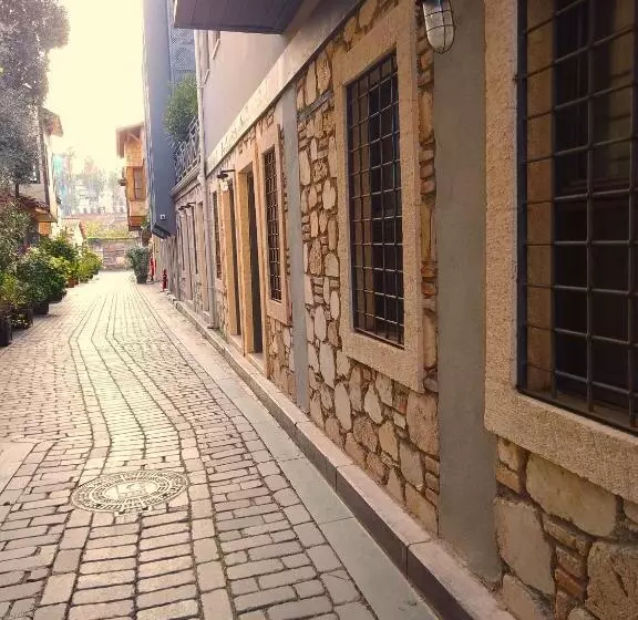 Fotos del hotel Alp Pasa   Special Class:  19