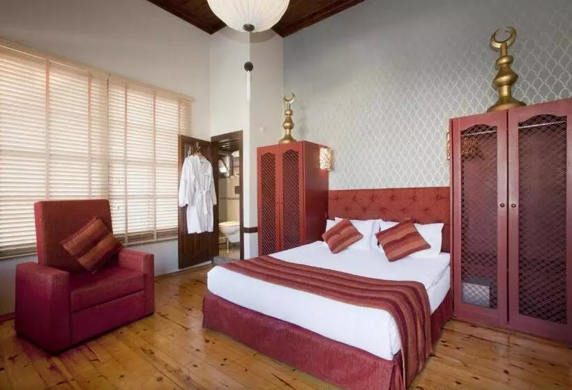 Alp Pasa   Special Class