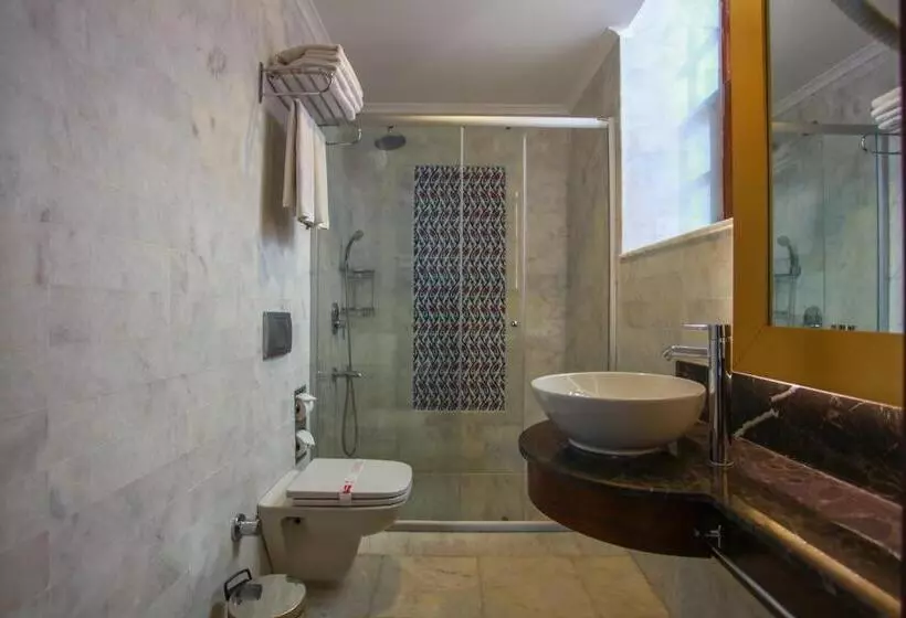 Fotos del hotel Alp Pasa   Special Class:  18