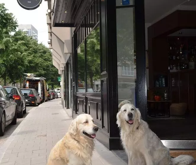 Fotos del hotel Carlton:  12