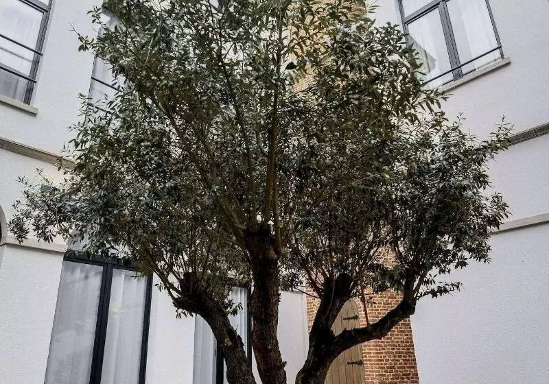 Fotos del hotel Rubens-grote Markt:  7