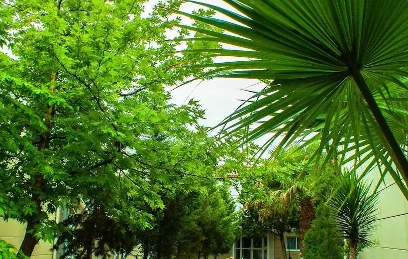 Fotos del hotel The Crescent Beach  & Leisure Resort:  6