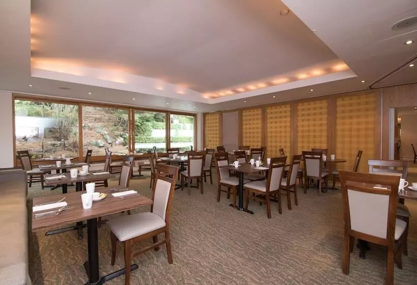 Fotos del hotel Regency Park Hotel, Health Club & Spa:  14