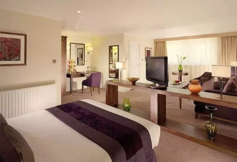 Fotos del hotel Regency Park Hotel, Health Club & Spa:  19