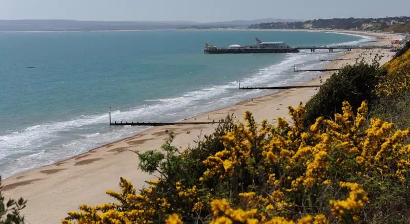 Fotos del hotel Suncliff Hotel - Oceana Collection:  19