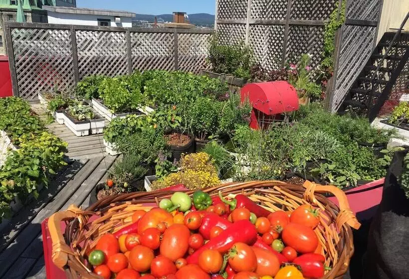Fotos del hotel Du Vieux Quebec:  13