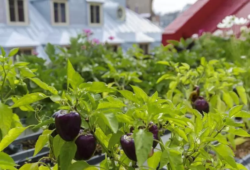 Fotos del hotel Du Vieux Quebec:  6