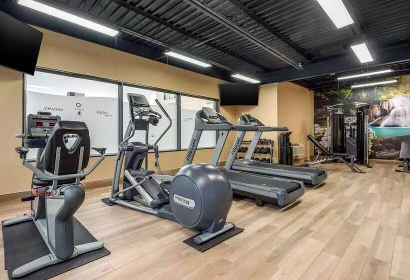 Fotos del hotel Quality Hotel Dorval:  4