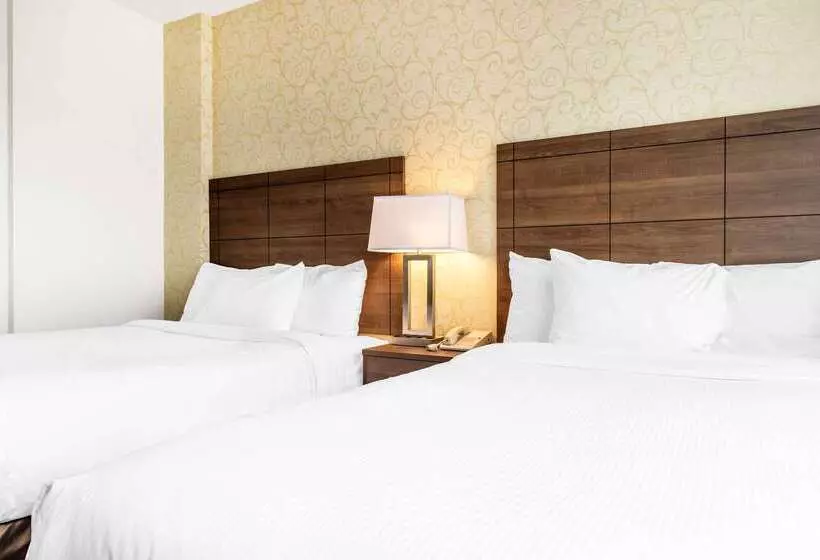 Fotos del hotel Quality Hotel Dorval:  24