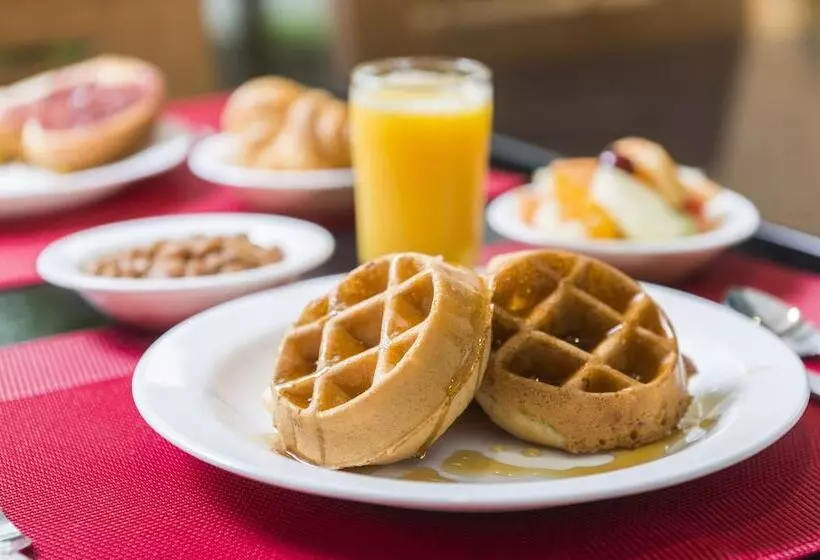 Fotos del hotel Hôtel & Suites Le Dauphin Québec:  10