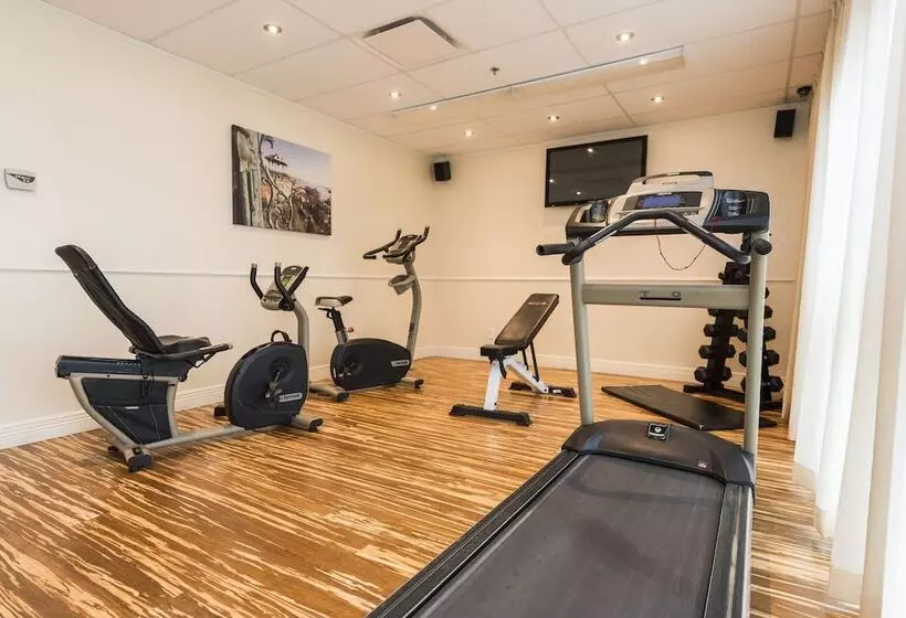 Fotos del hotel Hôtel & Suites Le Dauphin Québec:  3