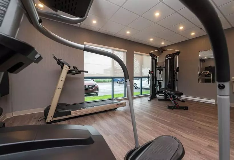 Fotos del hotel Hôtel & Suites Le Dauphin Québec:  9