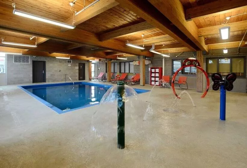 Fotos del hotel Hôtel & Suites Le Dauphin Québec:  19