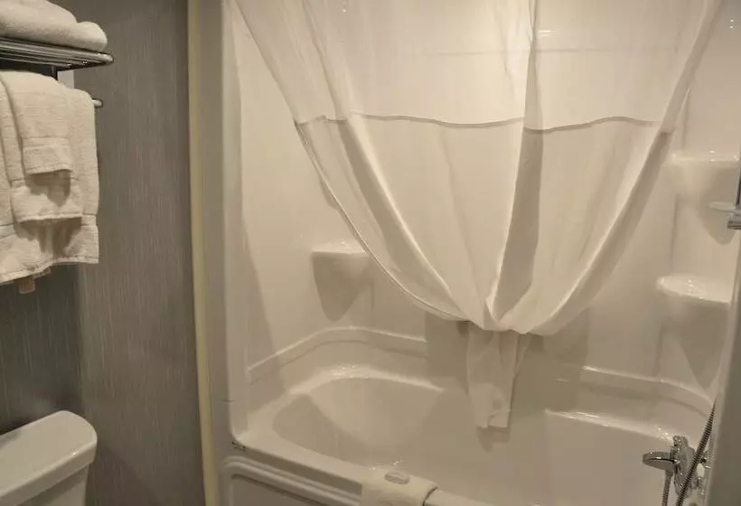 Fotos del hotel Hôtel & Suites Le Dauphin Québec:  17