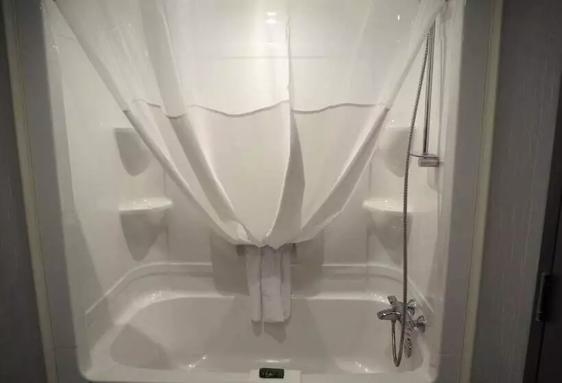 Fotos del hotel Hôtel & Suites Le Dauphin Québec:  6