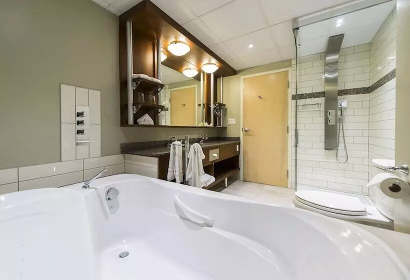 Fotos del hotel Hôtel & Suites Le Dauphin Québec:  12