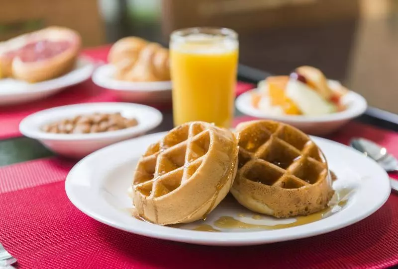 Fotos del hotel Hôtel & Suites Le Dauphin Québec:  25