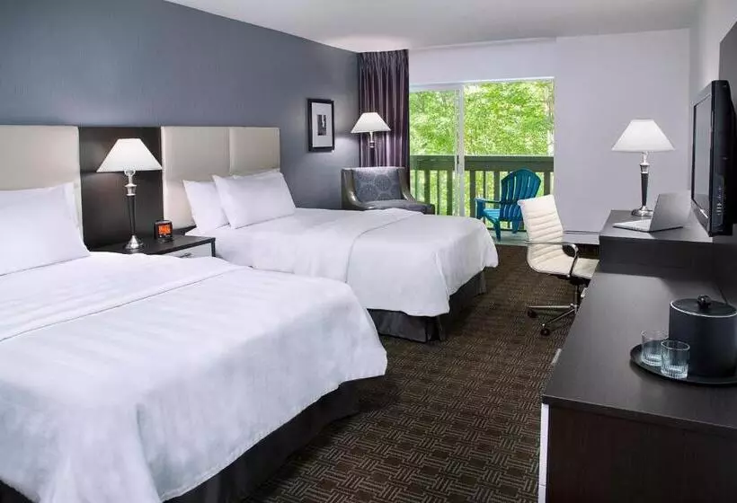 Fotos del hotel Toronto Don Valley Hotel And Suites:  14