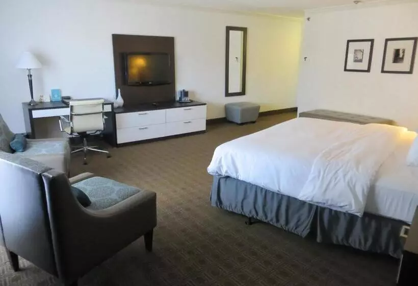 Fotos del hotel Toronto Don Valley Hotel And Suites:  19