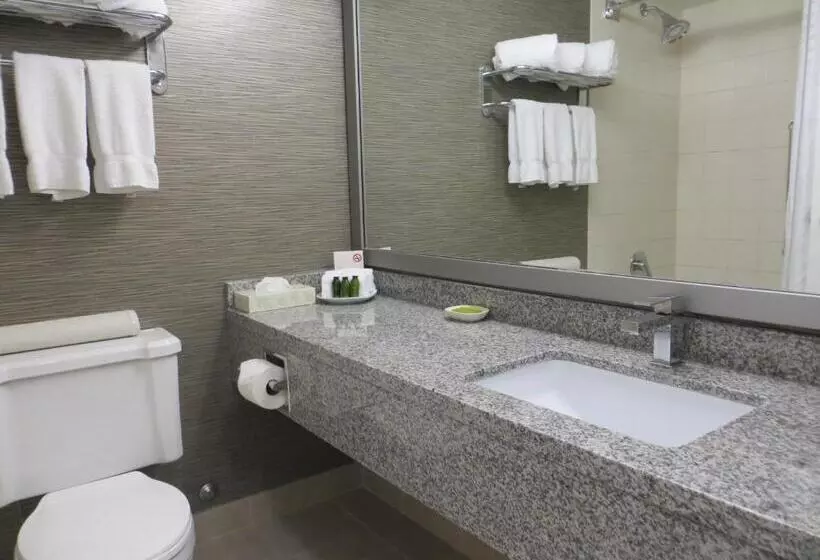 Fotos del hotel Toronto Don Valley Hotel And Suites:  13