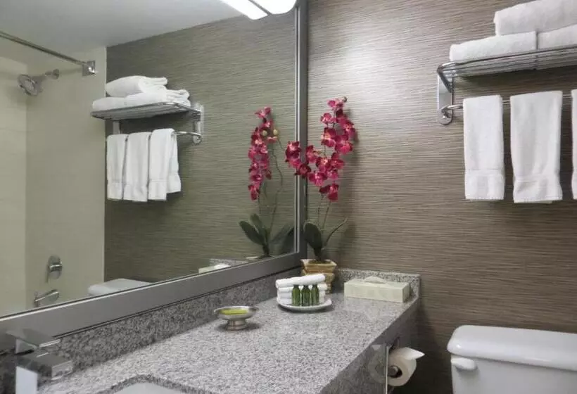 Fotos del hotel Toronto Don Valley Hotel And Suites:  8