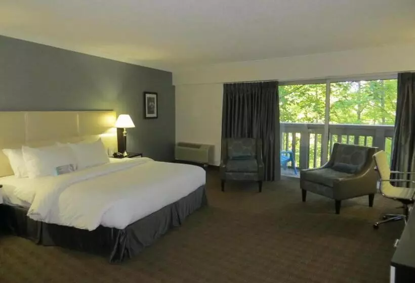 Fotos del hotel Toronto Don Valley Hotel And Suites:  16