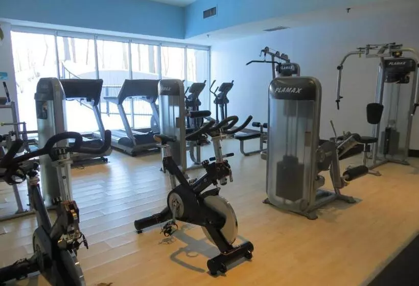 Fotos del hotel Toronto Don Valley Hotel And Suites:  4