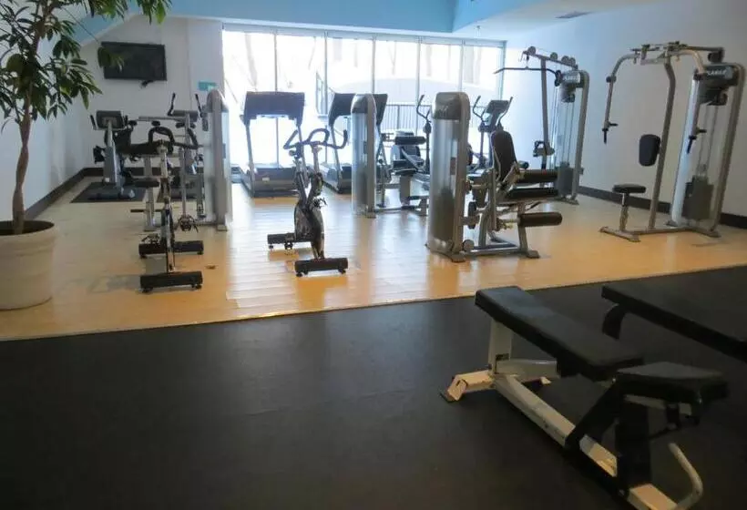 Fotos del hotel Toronto Don Valley Hotel And Suites:  12