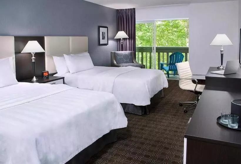 Fotos del hotel Toronto Don Valley Hotel And Suites:  18