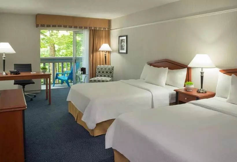 Fotos del hotel Toronto Don Valley Hotel And Suites:  17