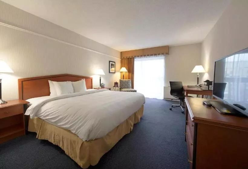 Fotos del hotel Toronto Don Valley Hotel And Suites:  15