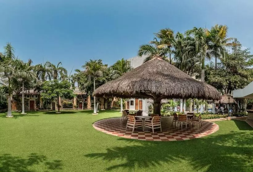 Fotos del hotel Genova:  8