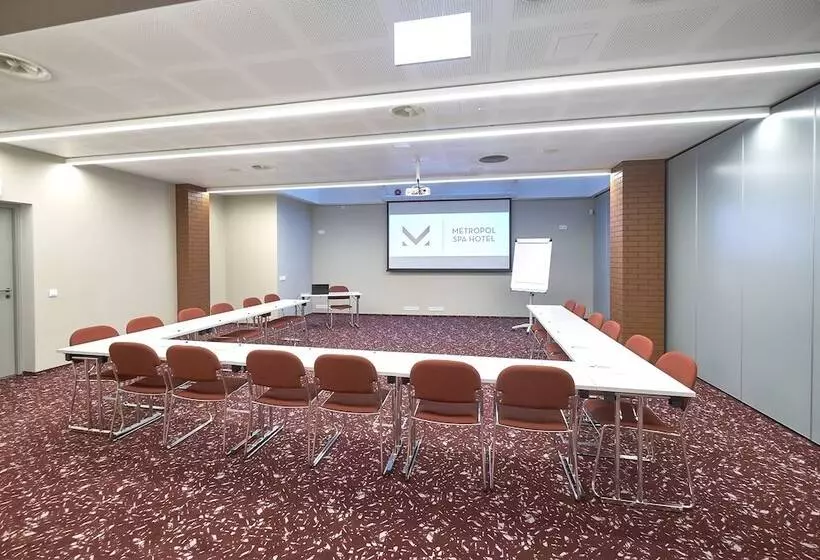 Fotos del hotel Metropol:  8