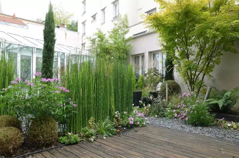 Fotos del hotel Hôtel Saintcharles:  12