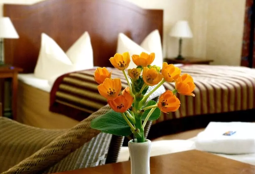 Fotos del hotel Safestay Berlin:  20