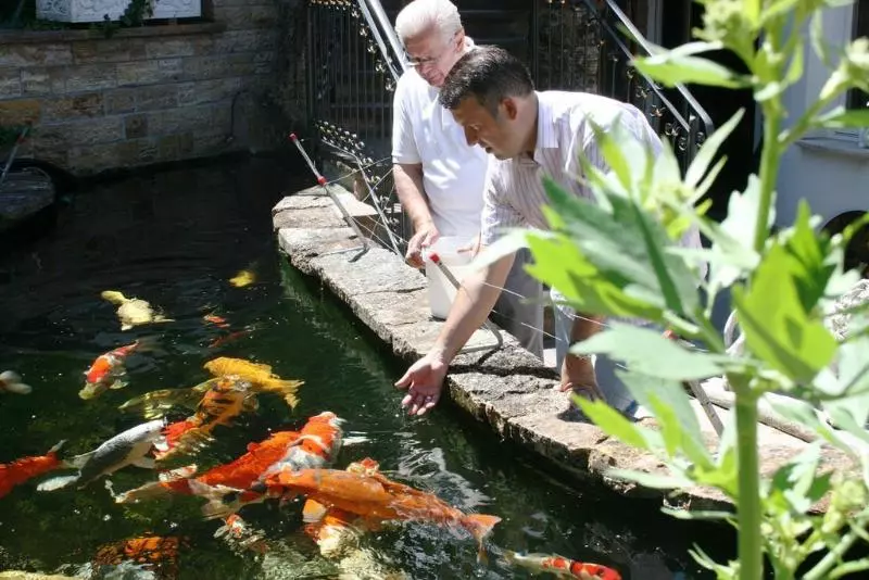 Fotos del hotel Zur Weinsteige:  4