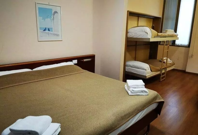 Fotos del hotel New Alexander:  12