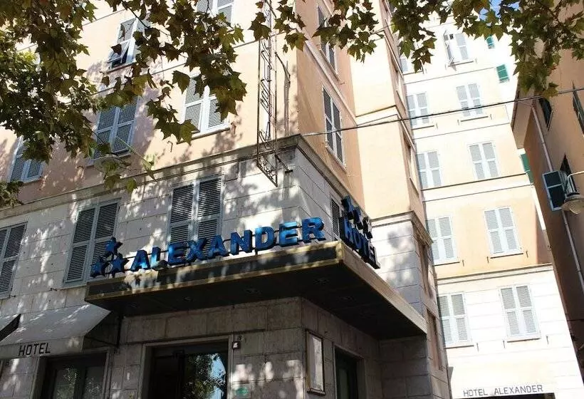 Fotos del hotel New Alexander:  6