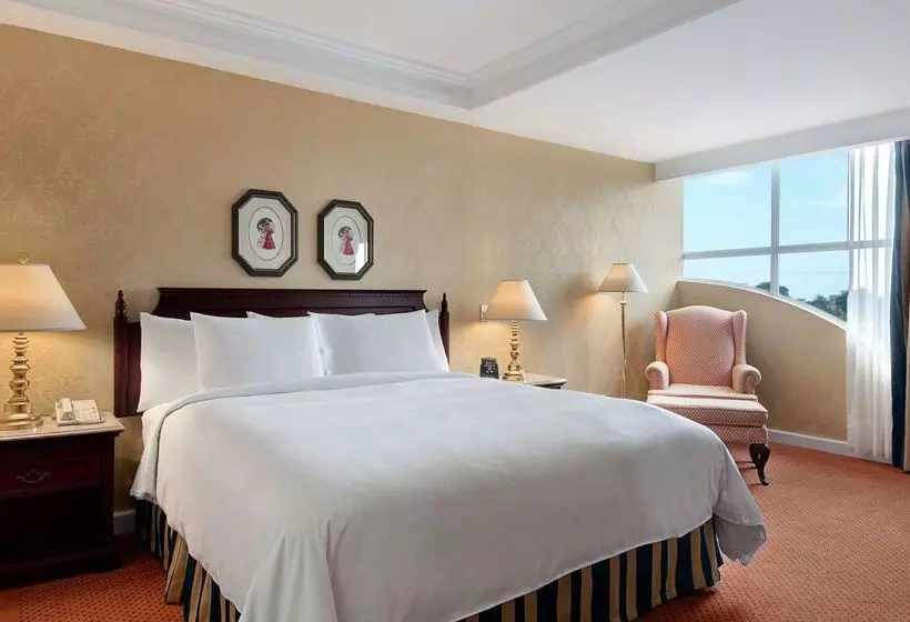 Fotos del hotel Hilton Princess Managua:  9