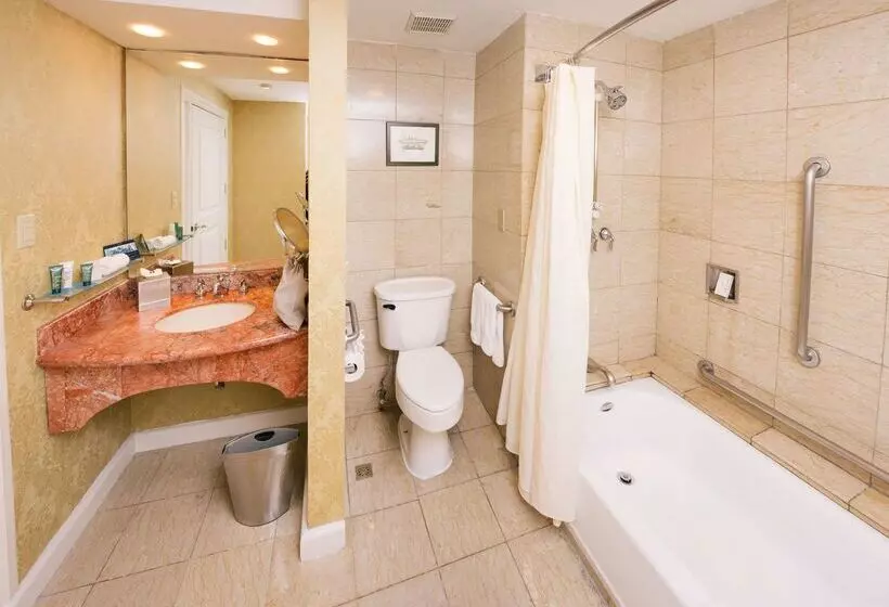 Fotos del hotel Hilton Princess Managua:  8