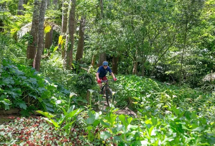 Fotos del hotel The Cellarshohenort:  6