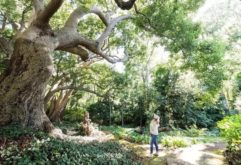 Fotos del hotel The Cellarshohenort:  10