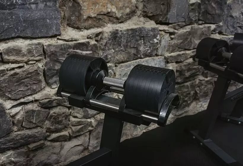 Fotos del hotel Montbrillant:  8