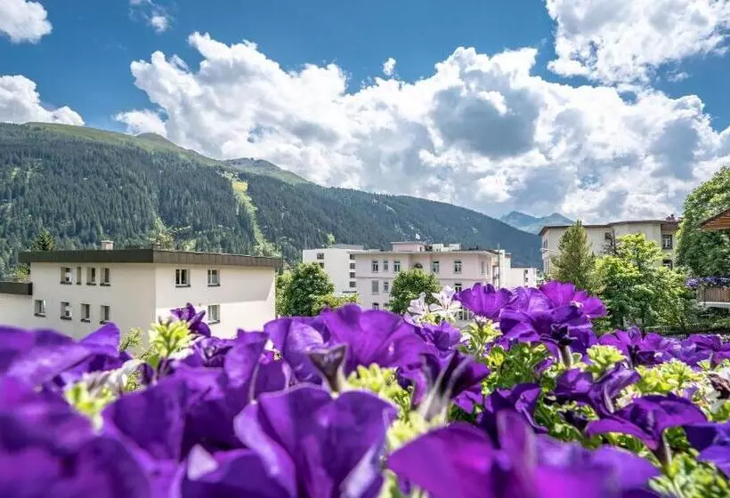 Fotos del hotel Strela:  10