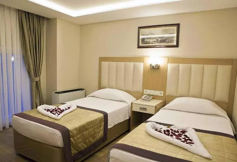 Fotos del hotel Baron:  19